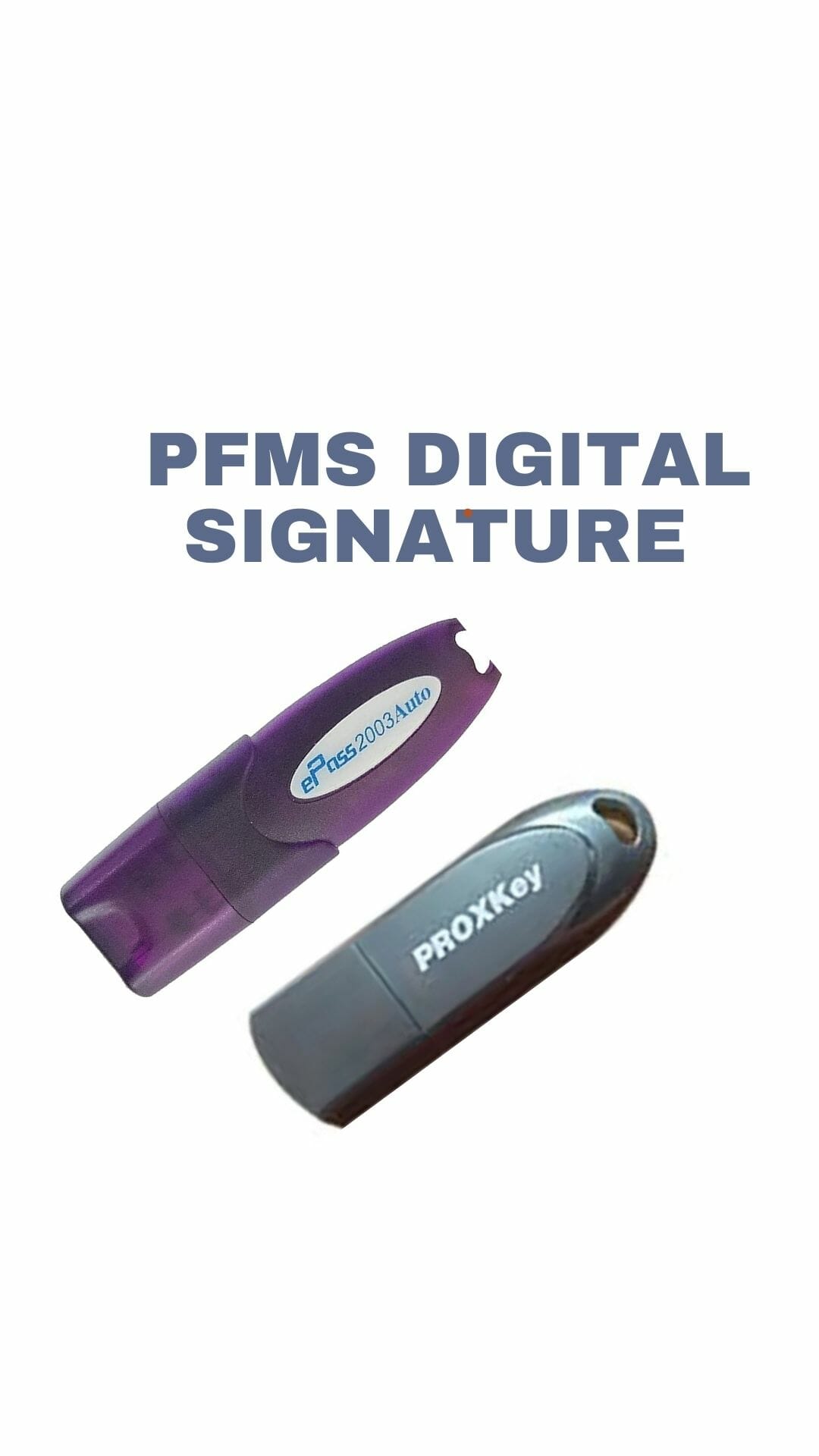 PFMS Digital Signature – Apply Online for PFMS DSC